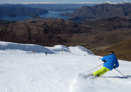 Love the long groomer