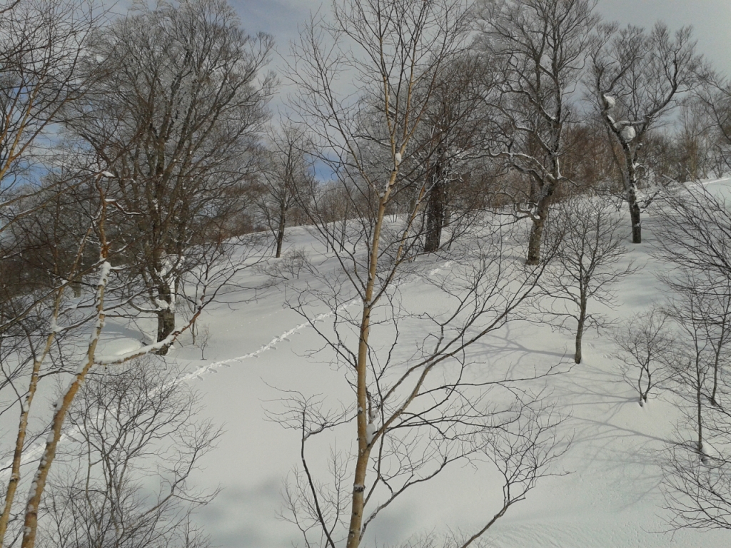 A typical fresh powder adventure awaits us