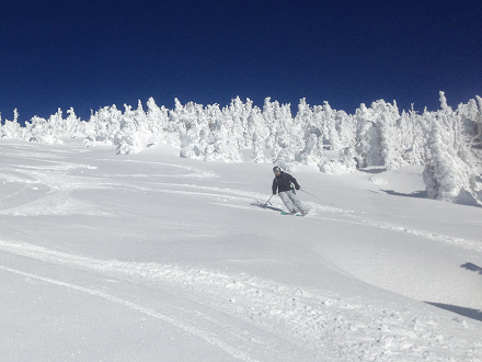 Snow ghosts protecting the open terrain