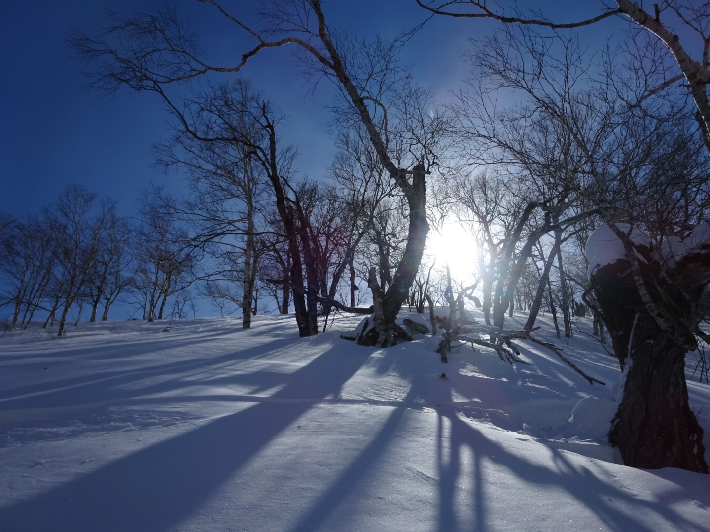 Shiribetsu March 15 2016_A sunny day