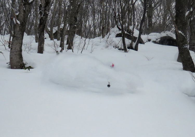 Plenty of great powder