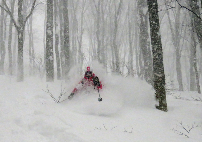 Powder at Myoko