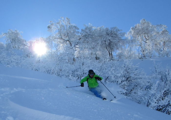 Powder in the sidecountry at Nozawa