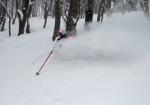 Line after line of fresh powder