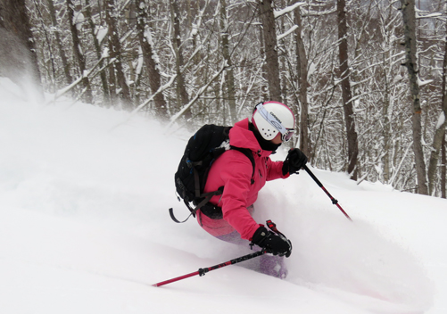 Much of the tree skiing is mellow