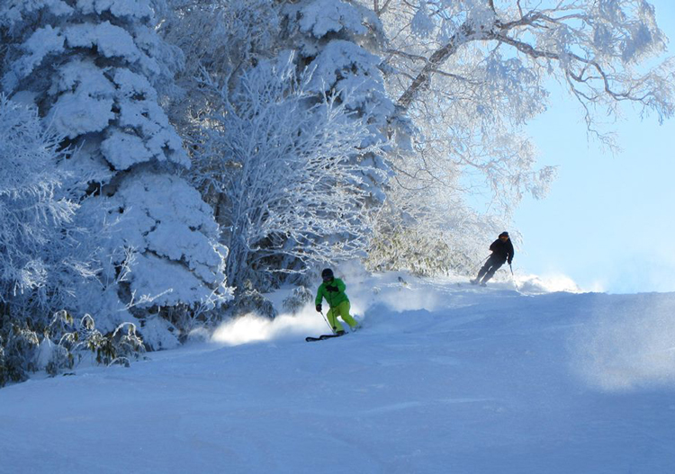 Fluff on-piste at Shiga