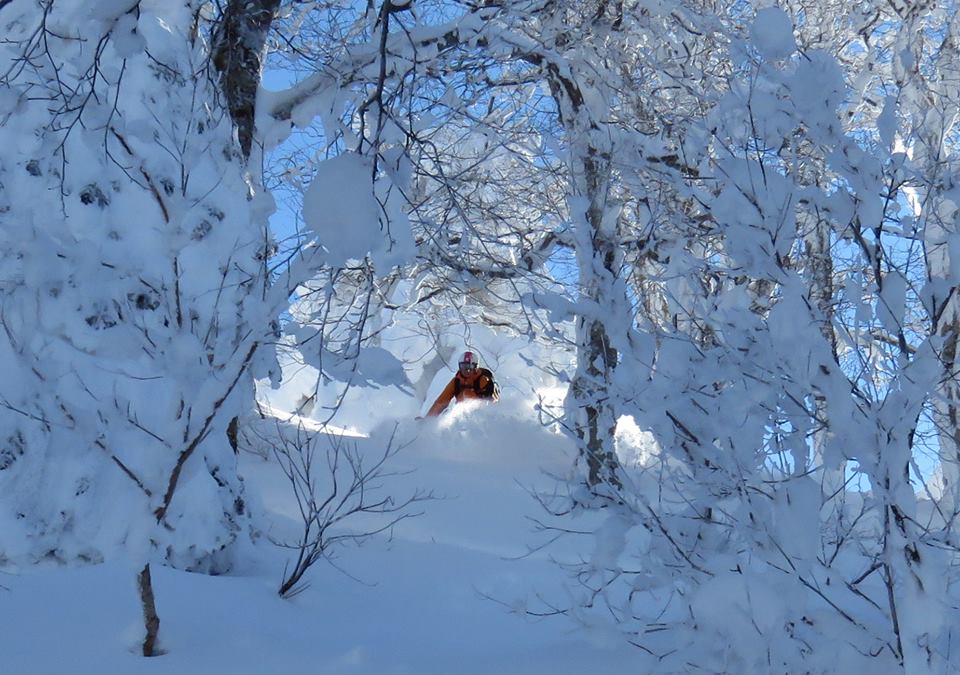 Powder at Zao Onsen