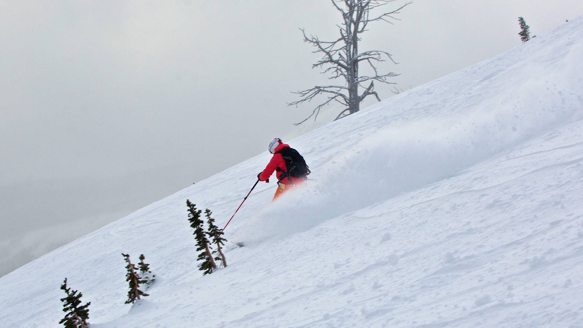 Photo credit: Alan Heidel