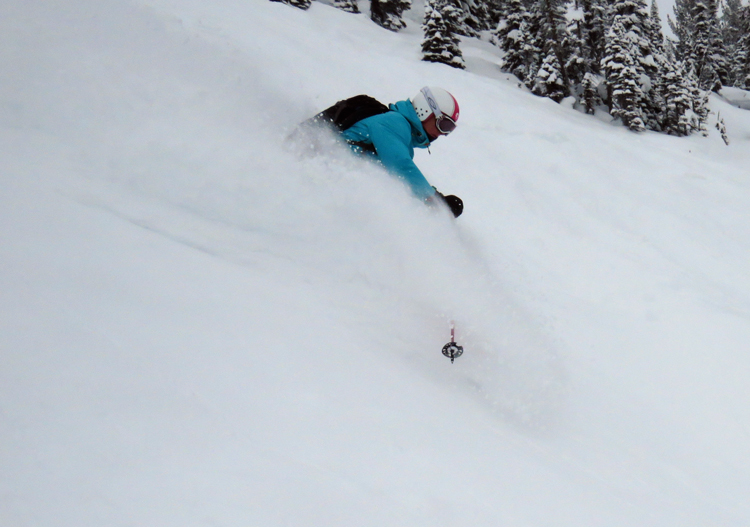 But plenty of freshies can be found