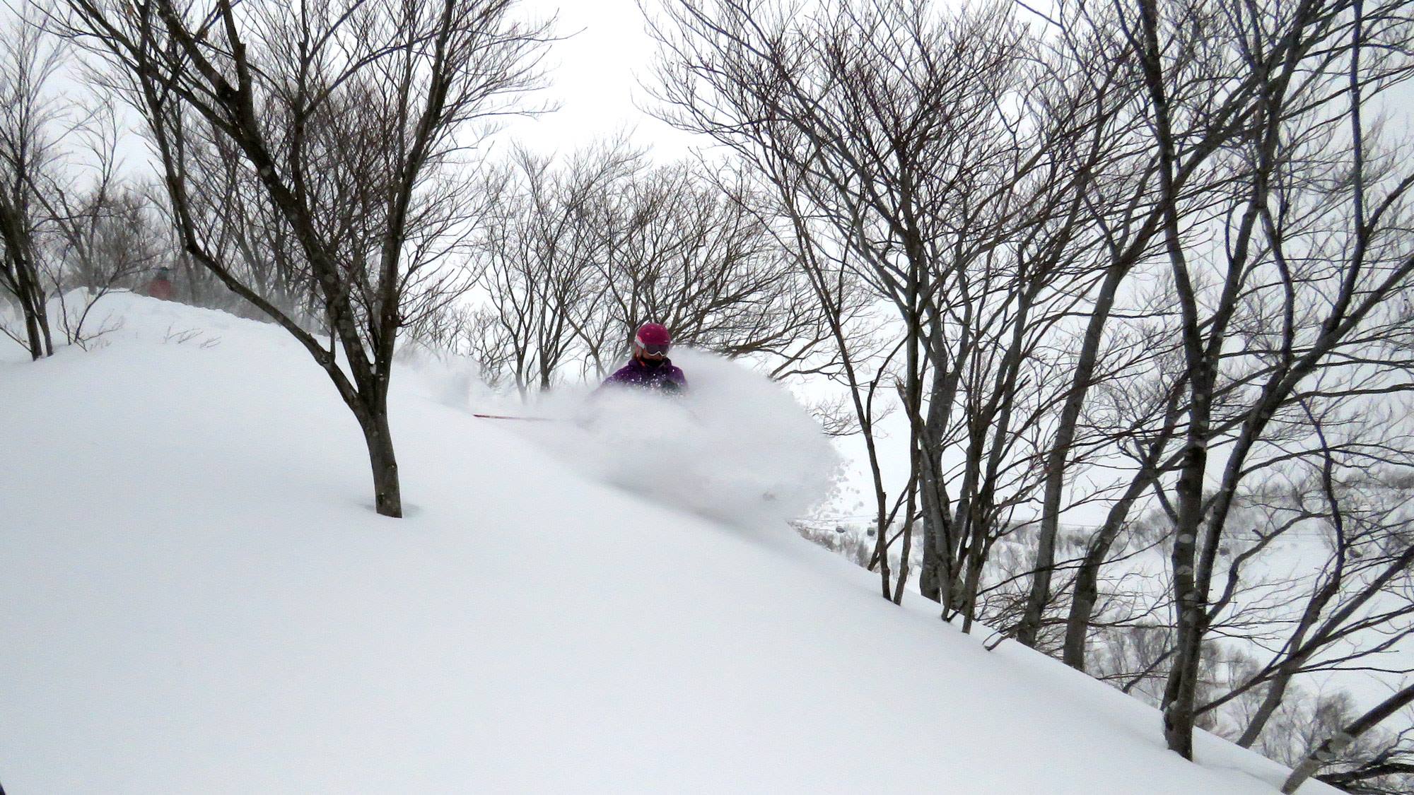 Freshies aren't too hard to come by