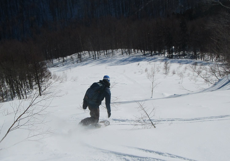 Plenty of room to manouvre