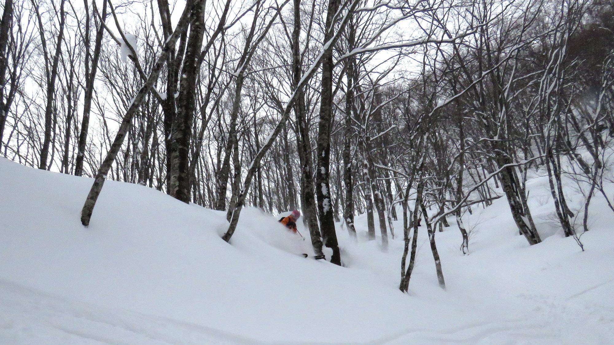 Plenty of fun terrain