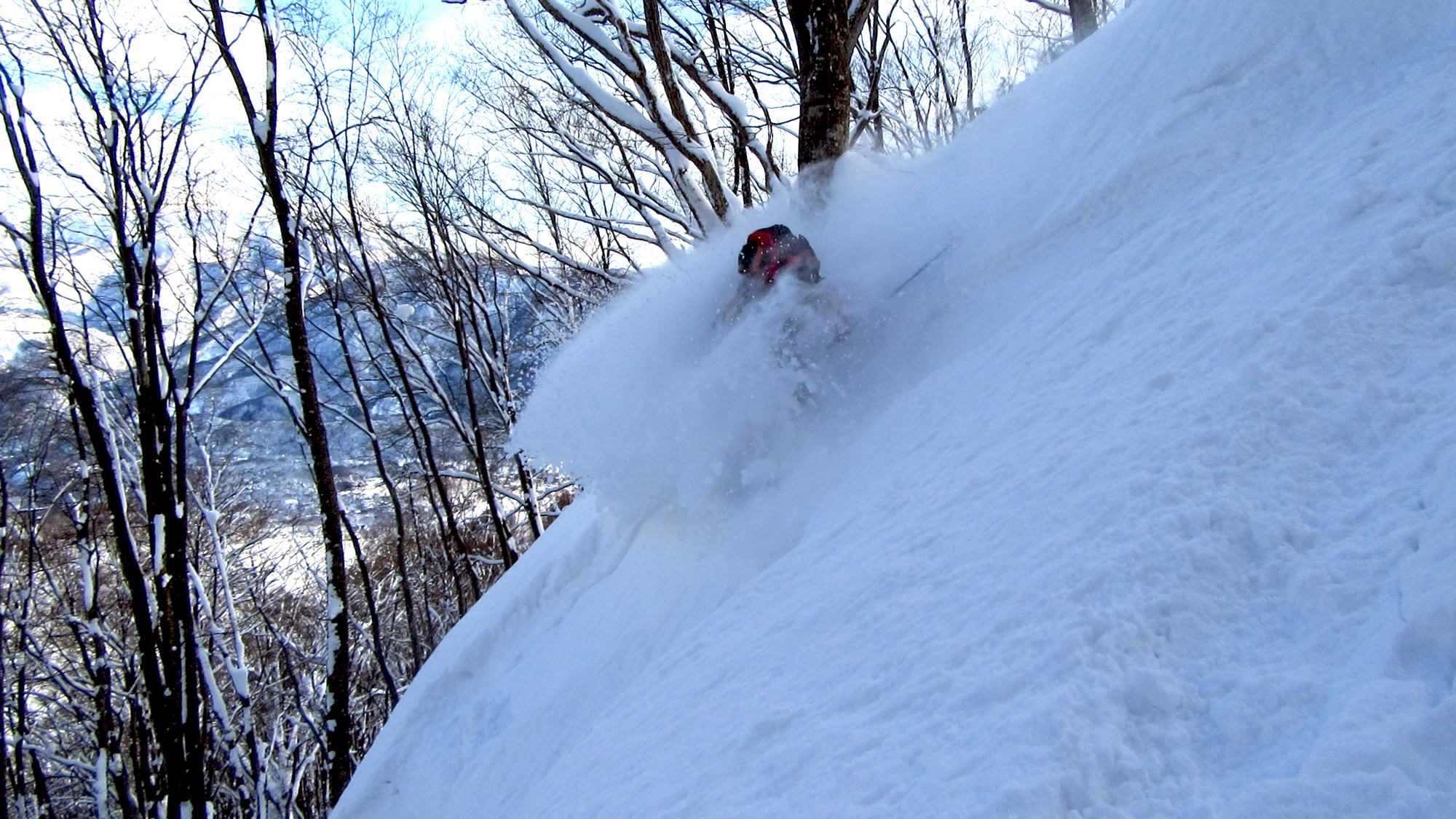 Showed us some great terrain