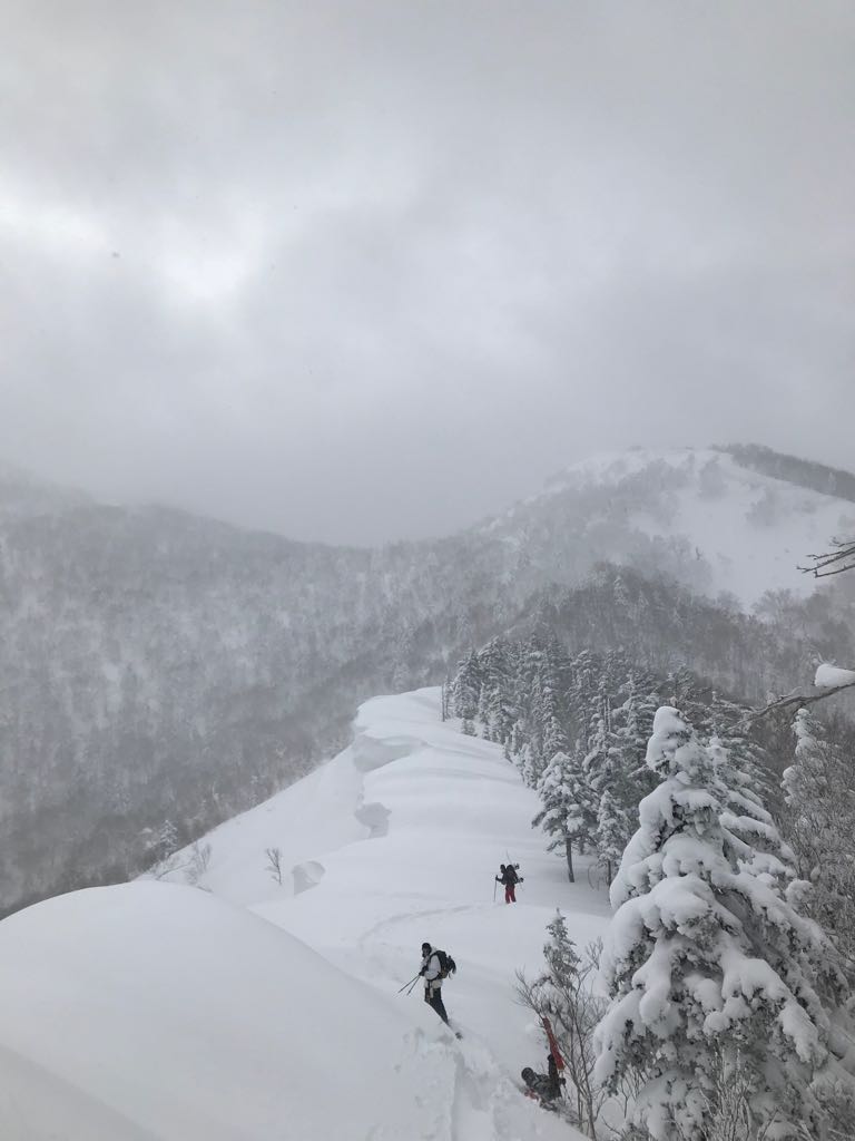 Furano Backcountry 1