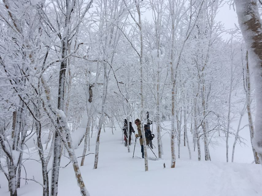 Furano Backcountry 4