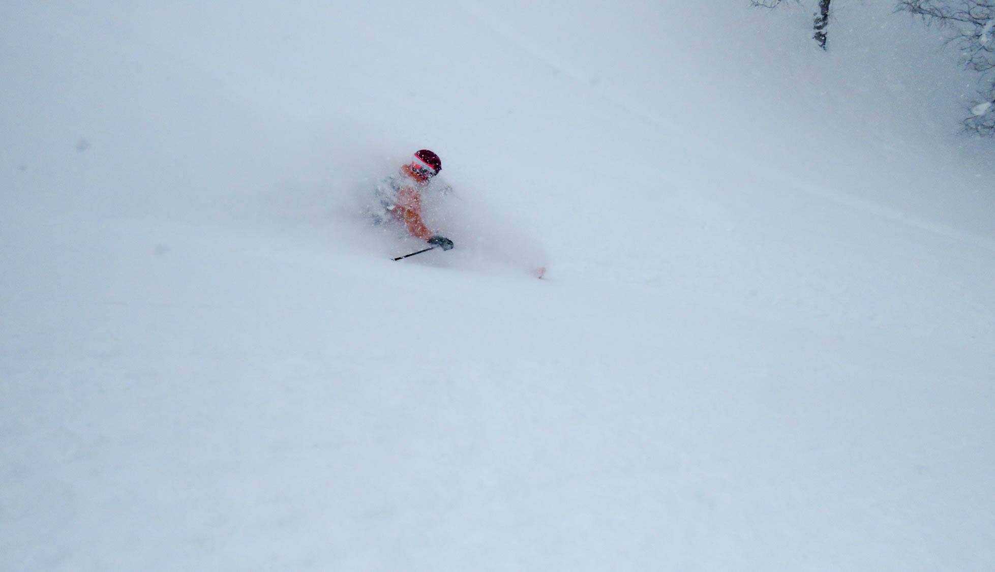 Lots of open terrain