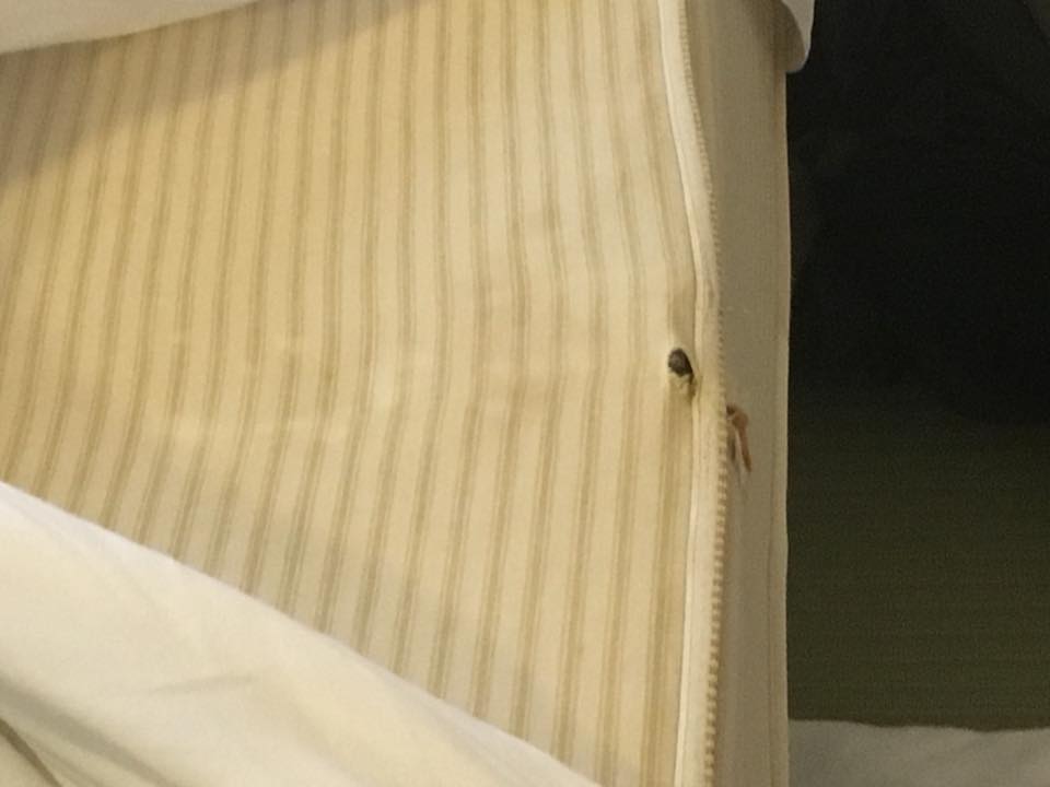 Part of the reason the bed was so uncomfortable