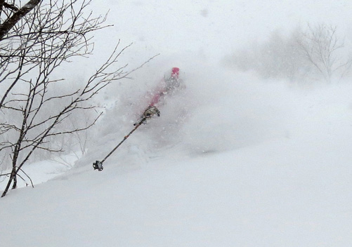 Easy to see why we love Iwate