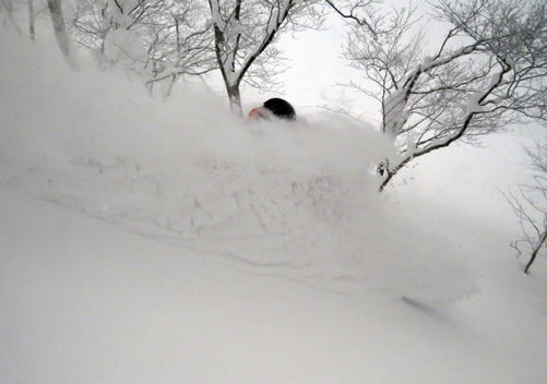 More Iwate powder