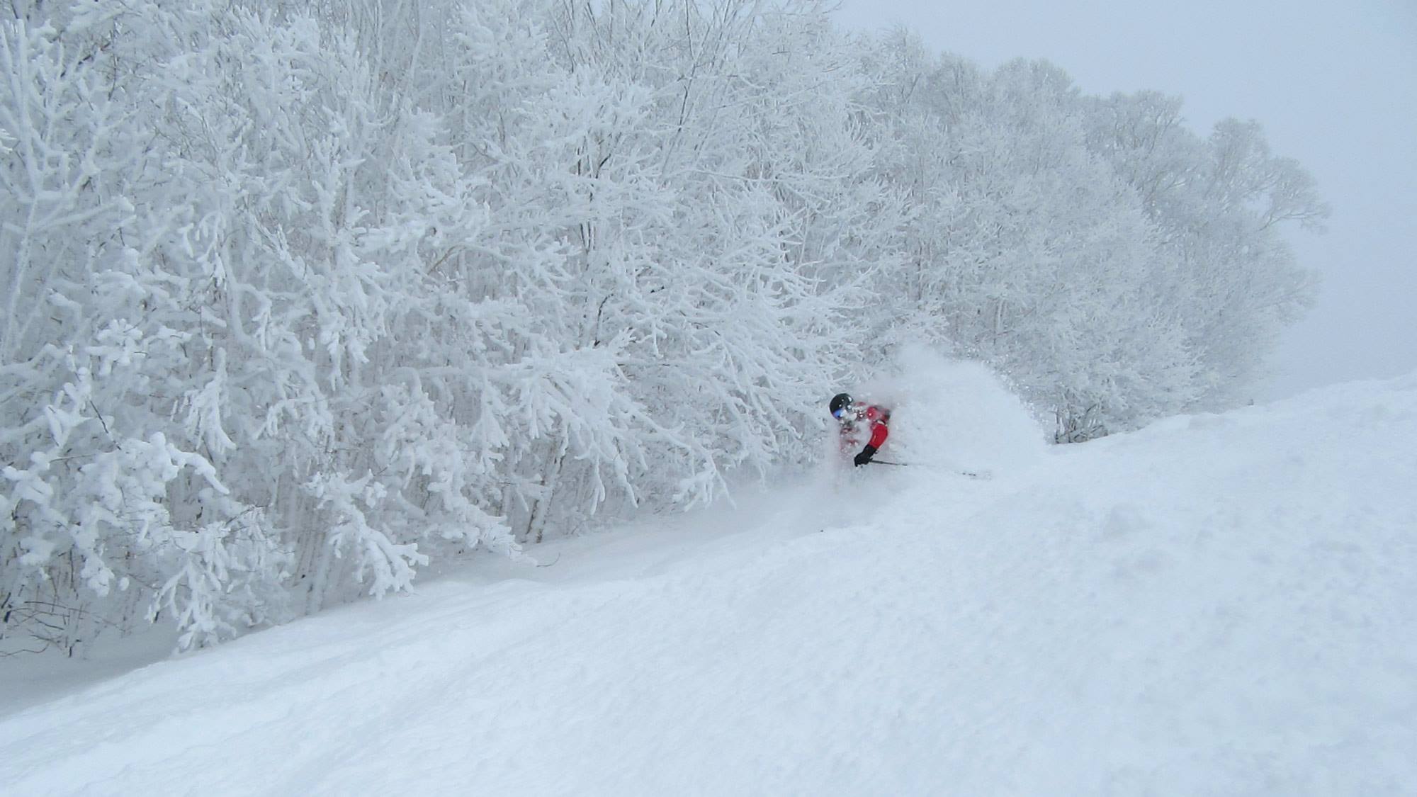 Fresh tracks were relatively easy to come by
