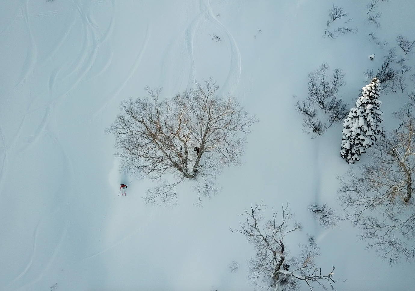 The powder quality was lovely