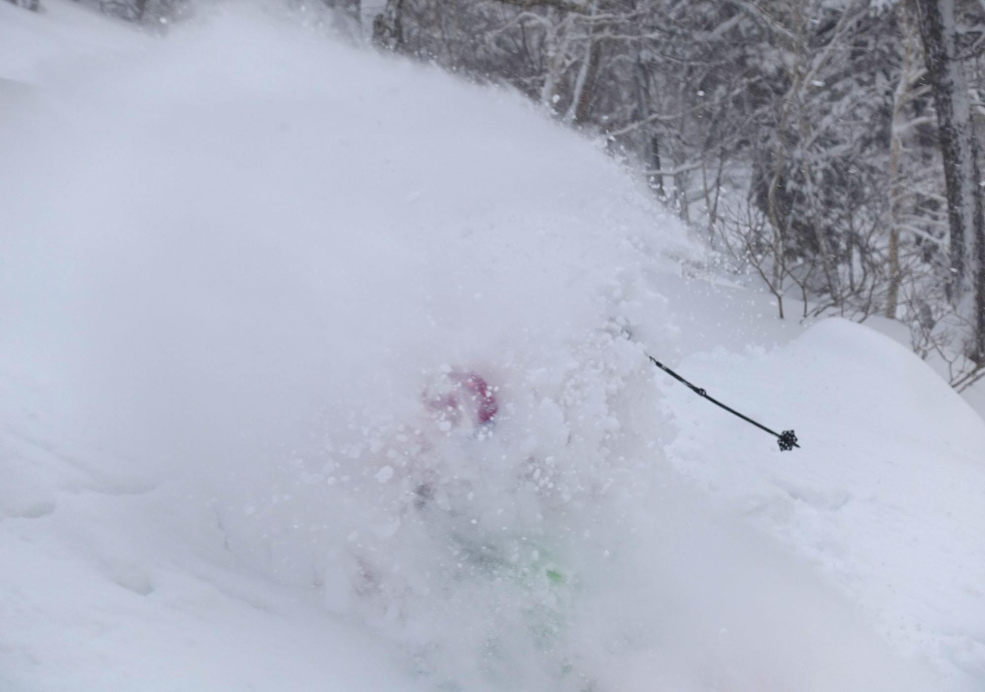 I'm under there somewhere!