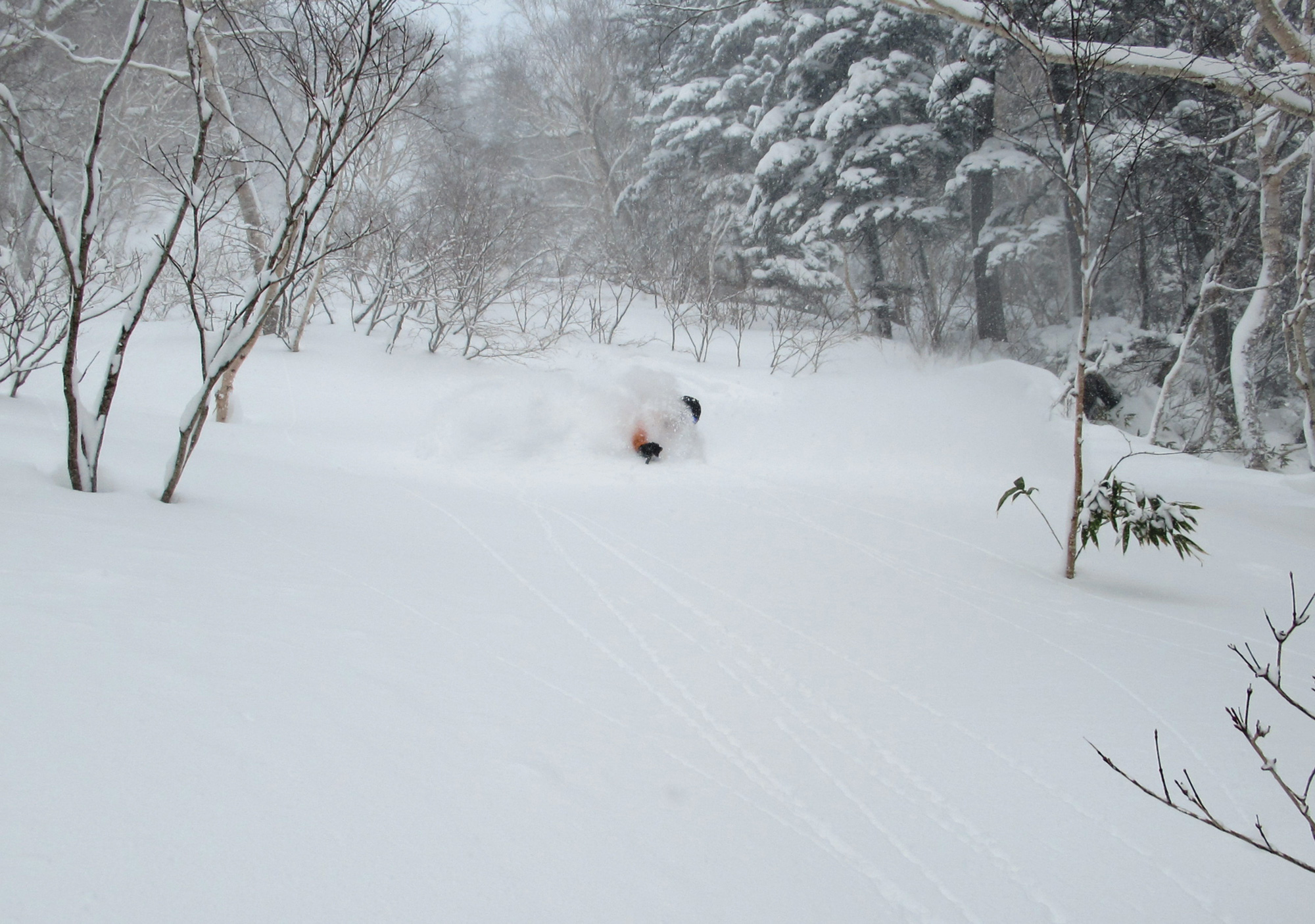 Deep up high at Furano