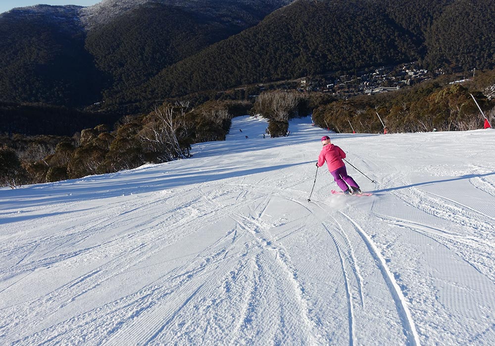 The long groomers were good